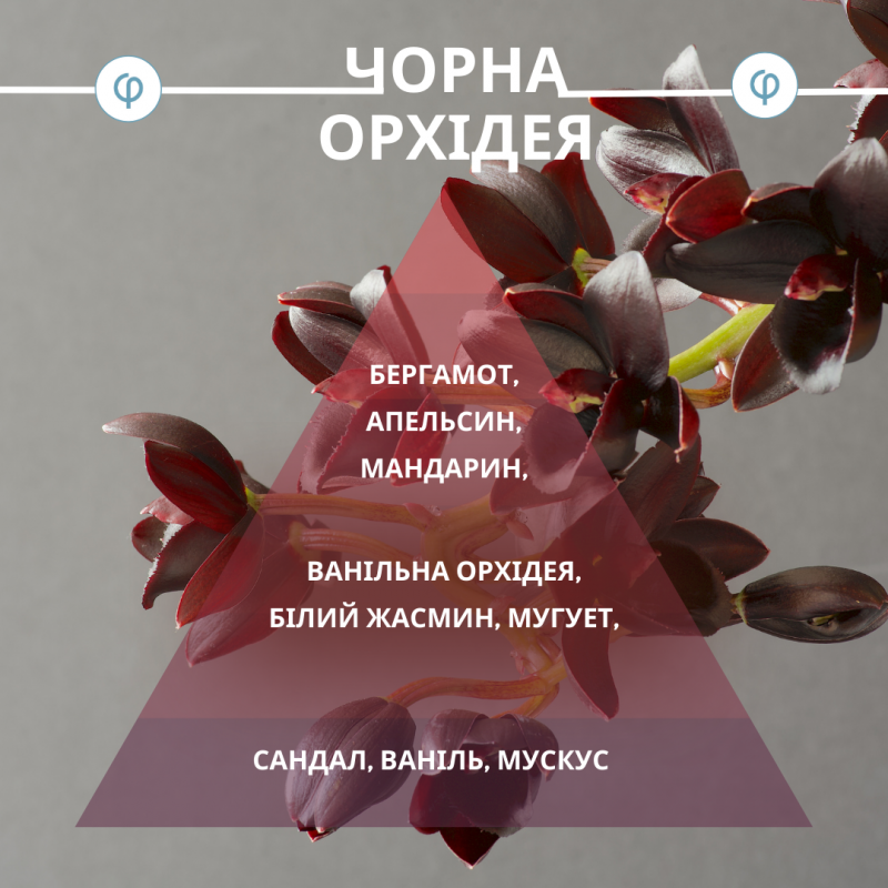 Black Orchid - Чорна орхідея – Аромат by UA Philanthrop
